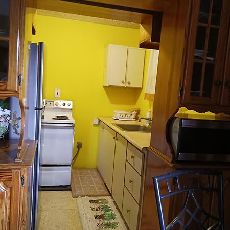 킹스톤 Chelsea Manor 아파트 외부 사진